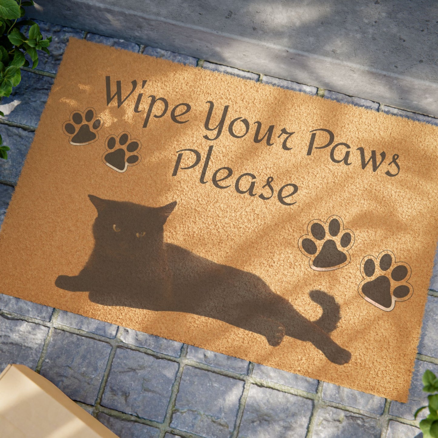 Wipe Your Paws Please Doormat